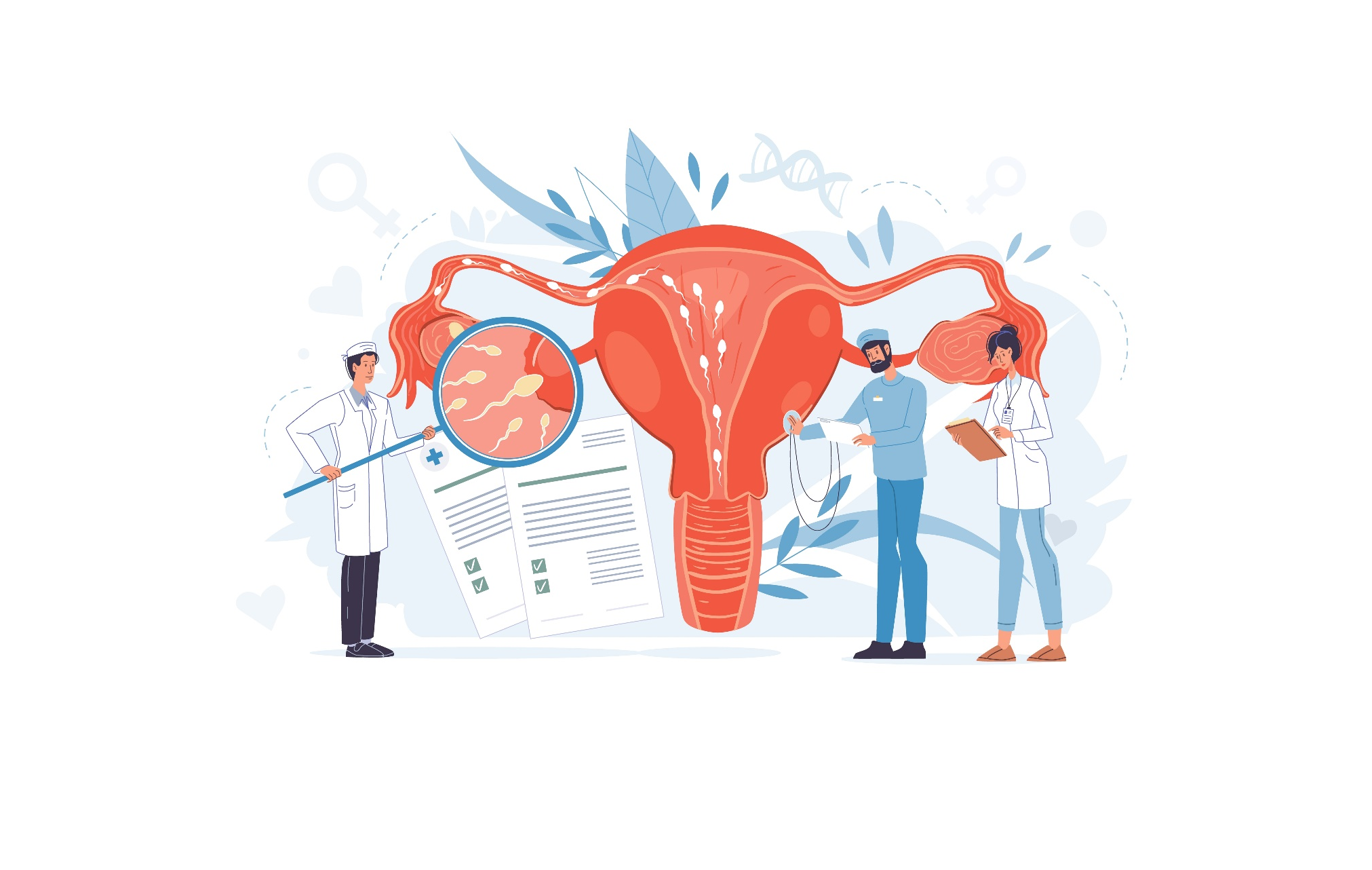 Illustration of physicians examining an anatomical model of the female reproductive system